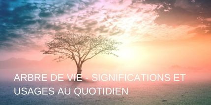 Arbre de vie - Significations et usages au quotidien